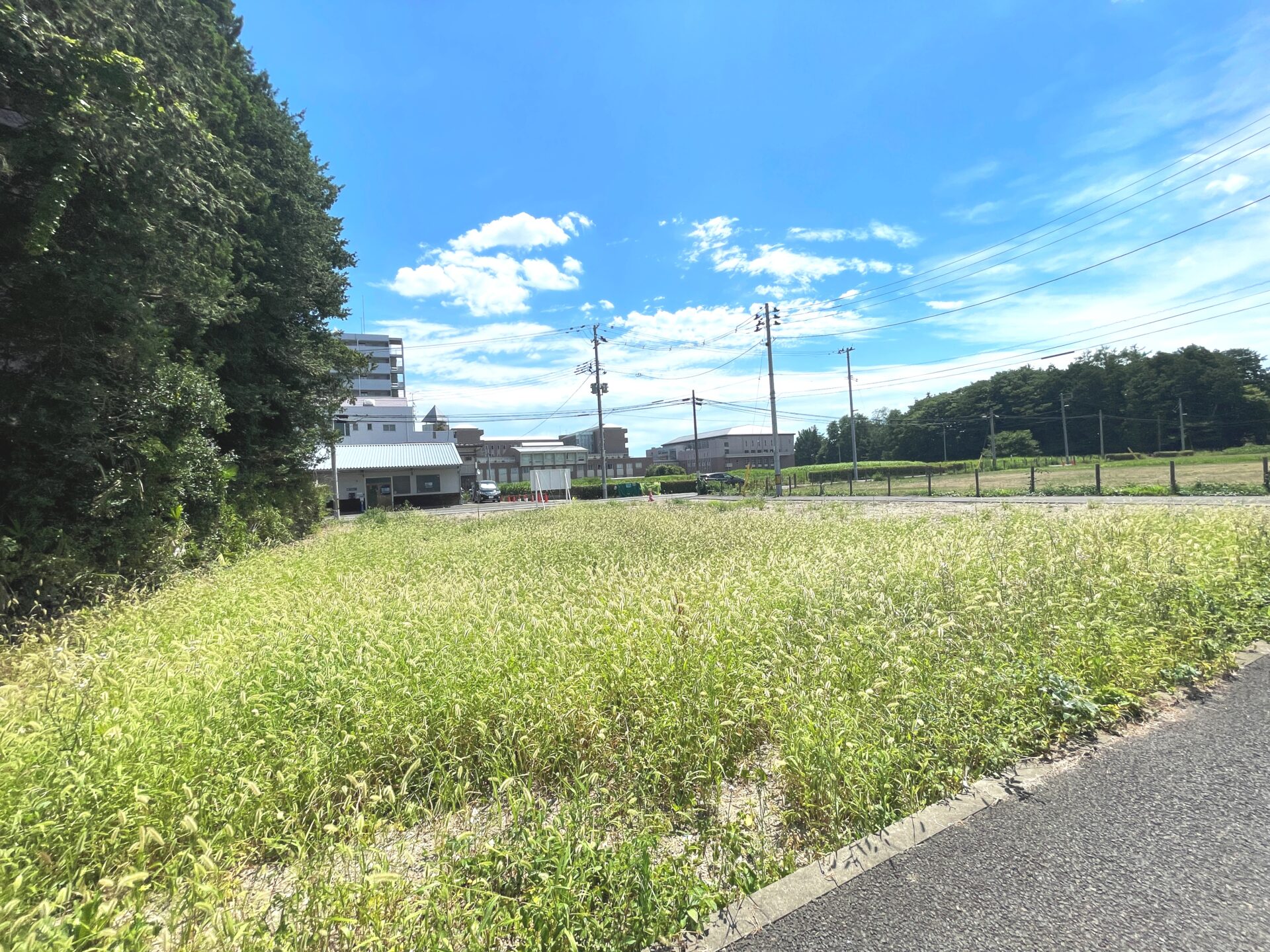 若林区木ノ下2丁目 土地 / 約206坪 / 南東南西角地の3方道路 / 事業用地 / 駅徒歩8分