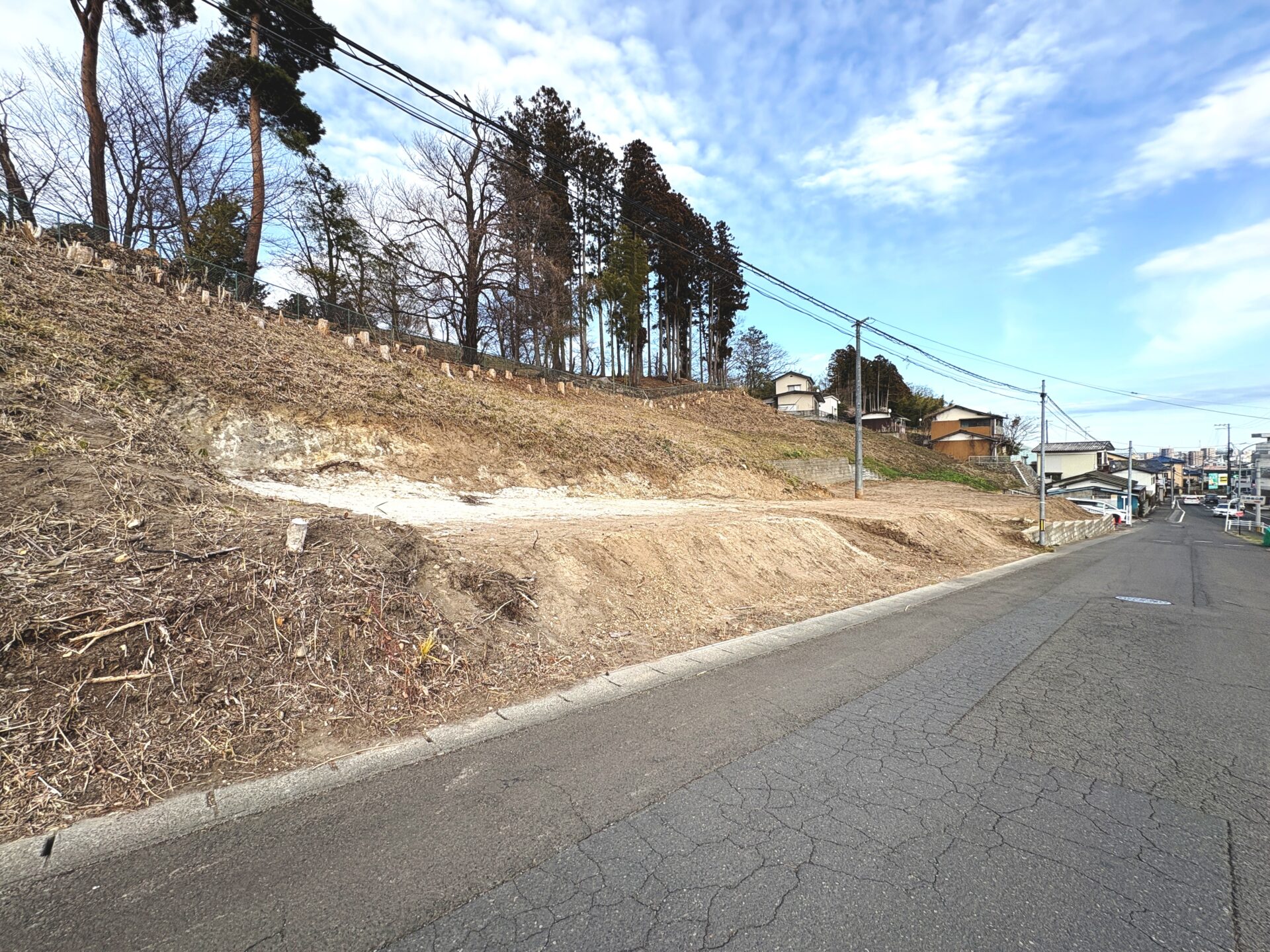 太白区西多賀1丁目(全1区画) 土地 / 1,980万円 / 南面道路 / 建築条件無し / 現況更地渡し / インフラ整備済み