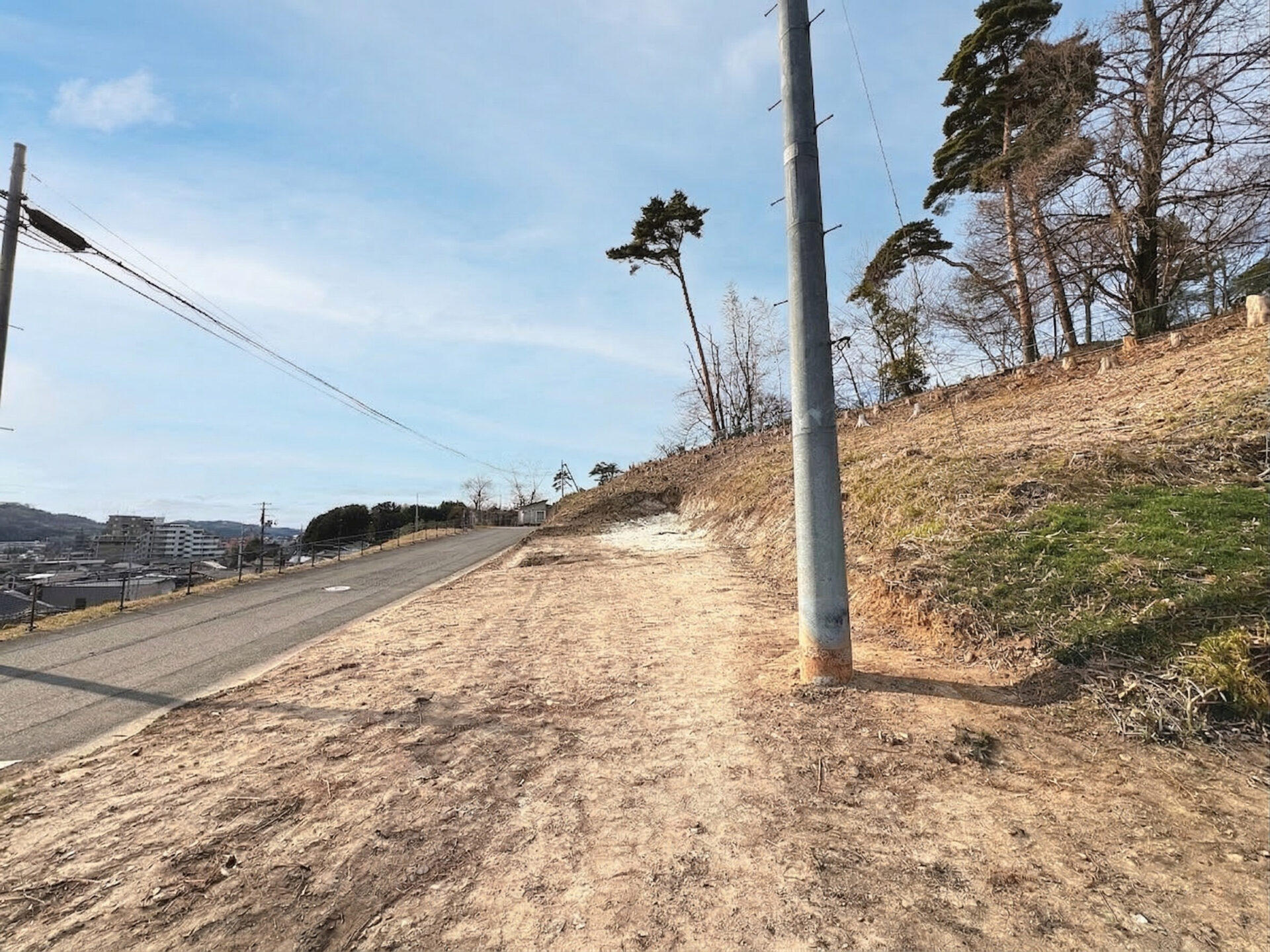 太白区西多賀1丁目(全1区画) 土地 / 1,980万円 / 南面道路 / 建築条件無し / 現況更地渡し / インフラ整備済み