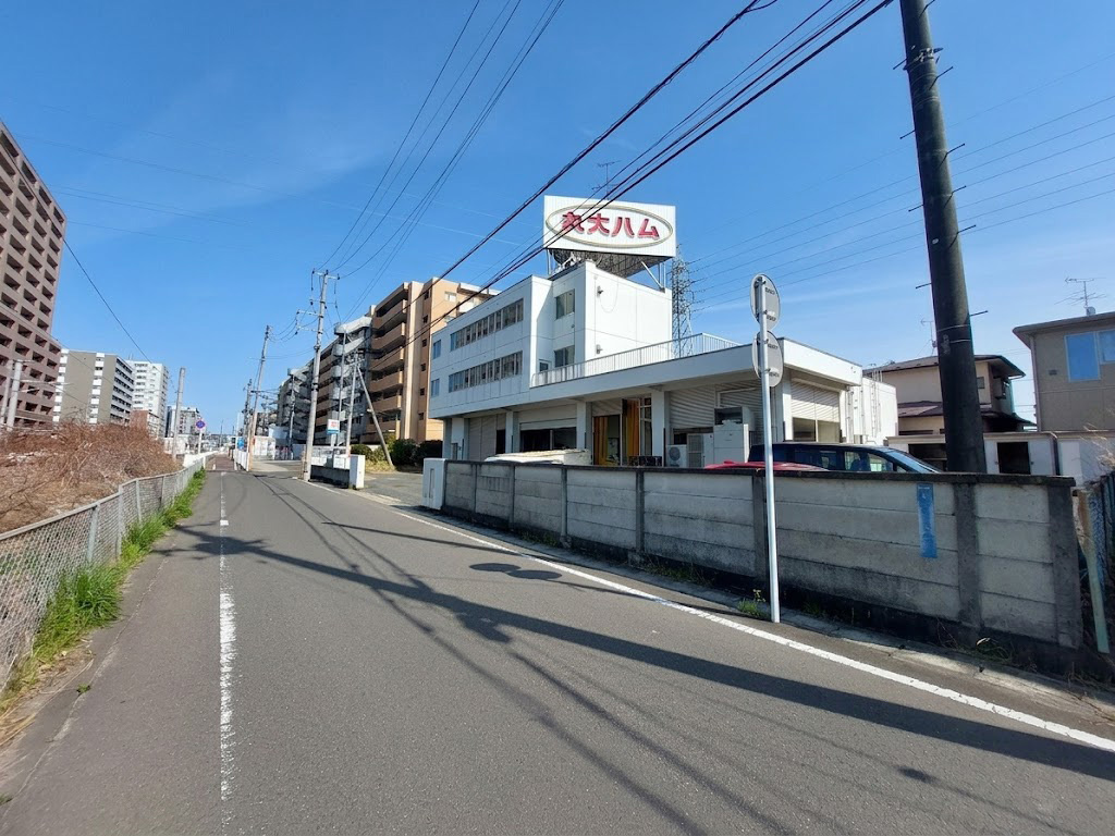 宮城野区新田5丁目 土地(全1区画)  / 22,200万円 / 敷地約292坪 / 事業用地 / 3方角地